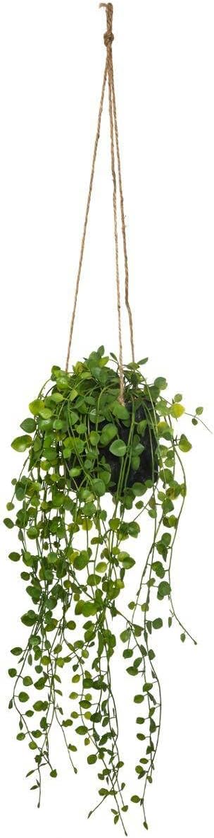 Atmosphera - Plante Artificielle à Suspendre Living - Pot en Ciment - H10-5 cm