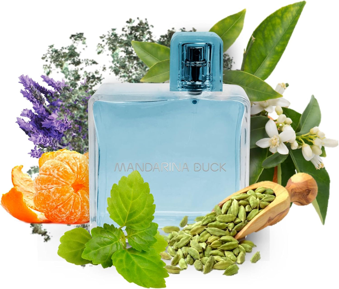 MANDARINA DUCK FRAGRANCES | For Him Eau de Toilette, Parfum masculin en vaporisateur, Famille olfactive Fougère Marine, 100 ml