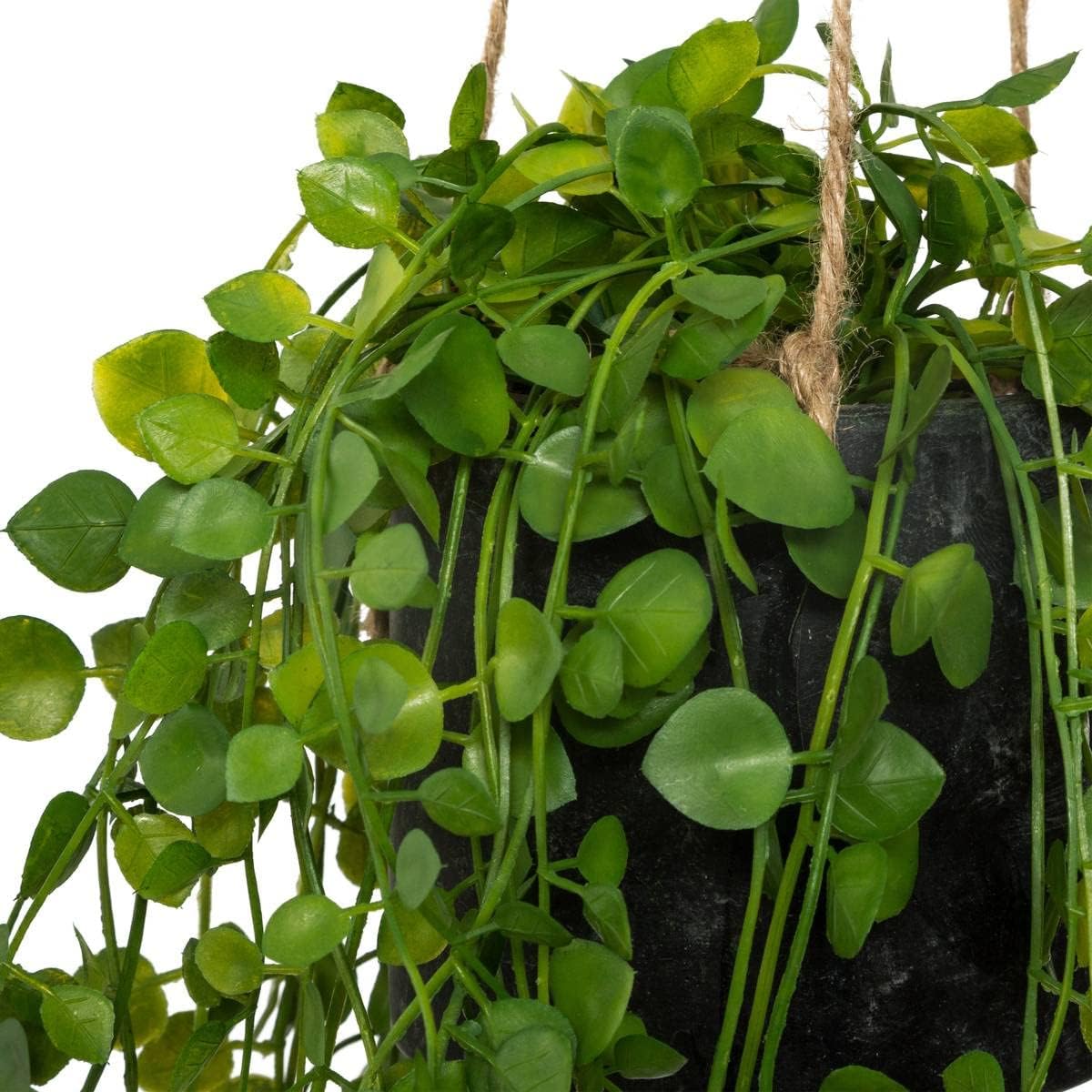 Atmosphera - Plante Artificielle à Suspendre Living - Pot en Ciment - H10-5 cm