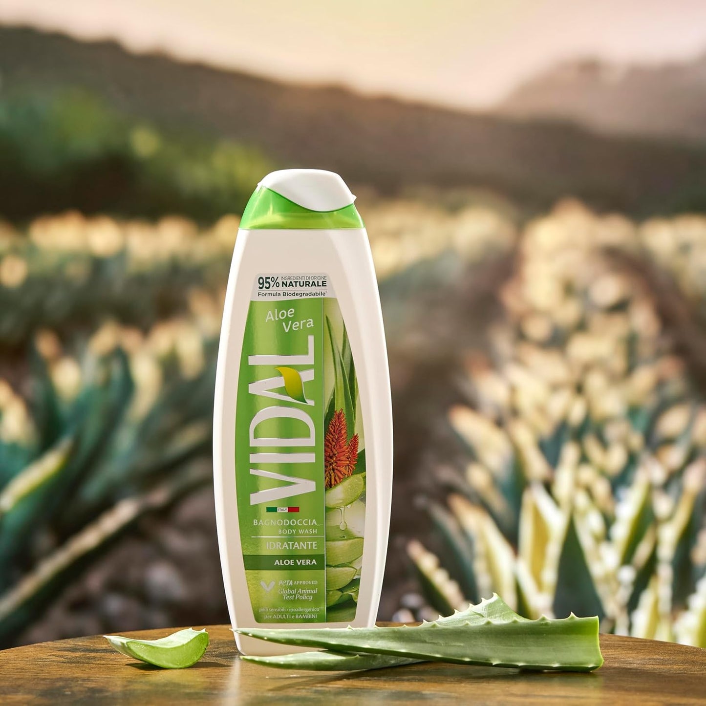 Vidal Bagnodoccia Aloe Vera 250 ml