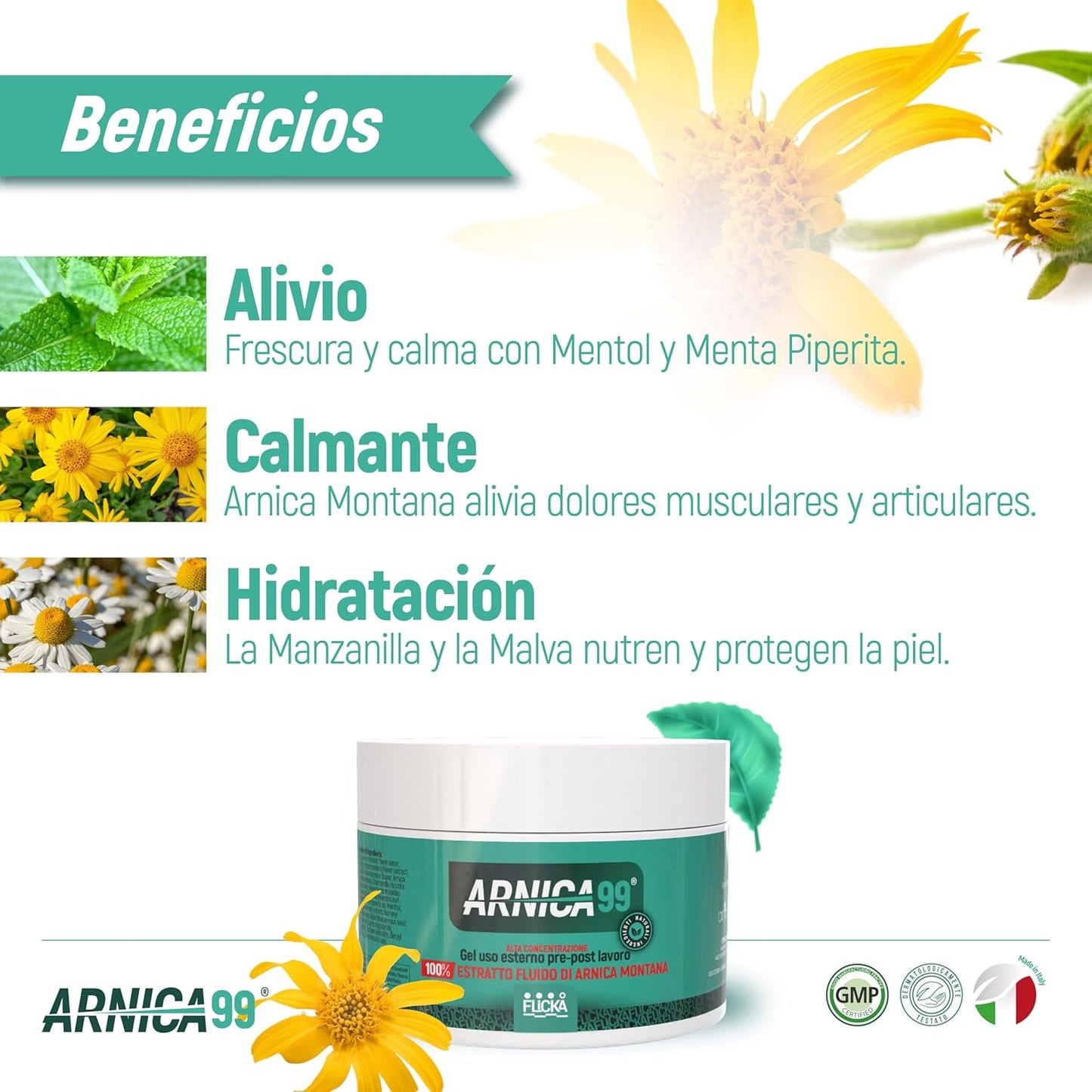 FLICKA Arnica pour chevaux, À usage humain fort, Gel avec concentration maximale d’Arnica Montana, Action rapide sur les muscles et les artisans, 100 % naturel et fabriqué en Italie (500 ml)
