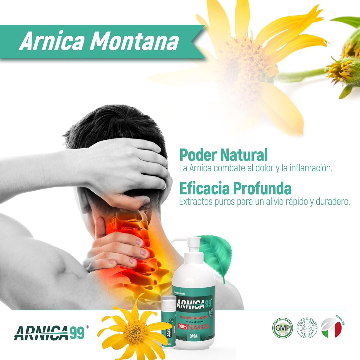 FLICKA Arnica pour chevaux, À usage humain fort, Gel avec concentration maximale d’Arnica Montana, Action rapide sur les muscles et les artisans, 100 % naturel et fabriqué en Italie (500 ml)