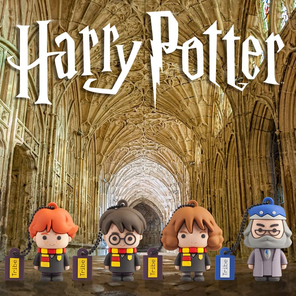 Tribe - Clé USB 32 Go Harry Potter - Mémoire Flash Drive 2.0, Personnage Saga Harry Potter, Clé USB Compatible avec Windows, Linux et Mac